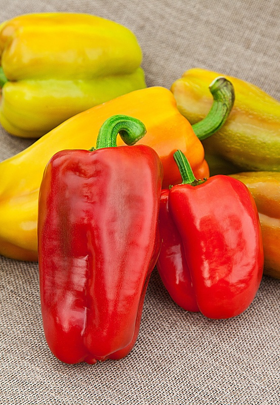 Перец сладкий Воловье ухо 0,1 гр цв.п